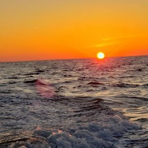 Meet your Posher, Faith